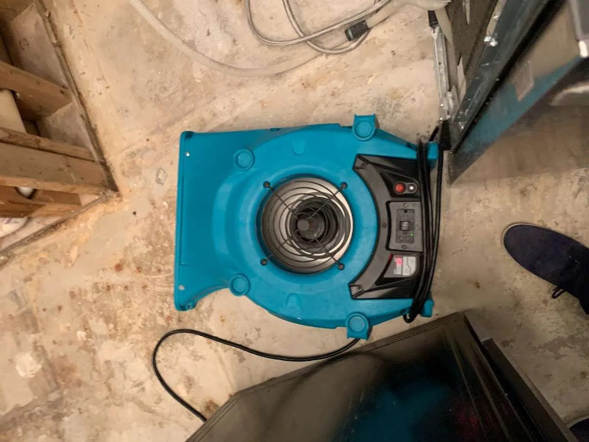 Air mover drying equipment for Mold Remediation & Removal in Fremont